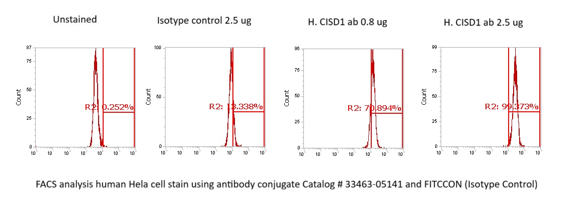 Human MitoNEET Antibody (FITC Conjugate) - Image 2