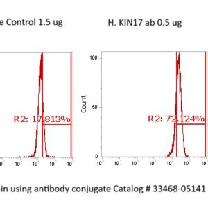 Human KIN AssayLite Antibody (FITC Conjugate)