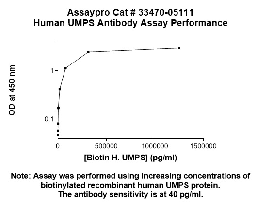 Human UMPS Antibody