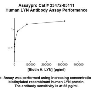 Human LYN Antibody