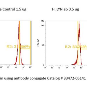 Human LYN AssayLite Antibody (FITC Conjugate)