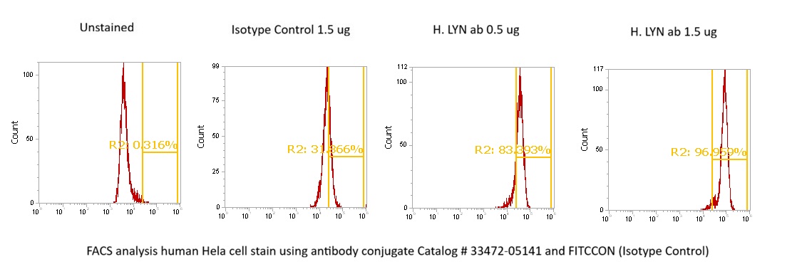 Human LYN AssayLite Antibody (FITC Conjugate)