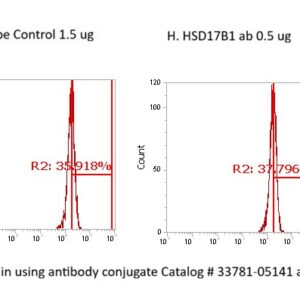 Human Estradiol 17-beta-dehydrogenase 1 (HSD17B1) AssayLite Antibody (FITC Conjugate)