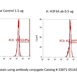 Human Histone H3.3 (H3F3A) AssayLite Antibody (FITC Conjugate)