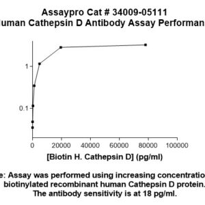 Human Cathepsin D (CTSD) Antibody