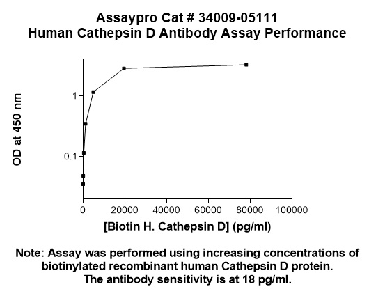 Human Cathepsin D (CTSD) Antibody (Biotin Conjugate)