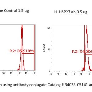 Human Heat Shock Protein 27 (HSP27) AssayLite Antibody (FITC Conjugate)