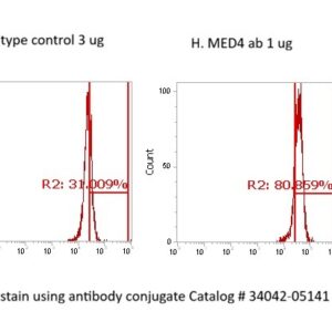 Human MED4 AssayLite Antibody (FITC Conjugate)