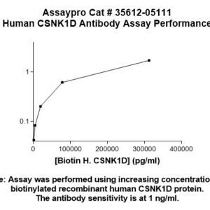 Human Casein Kinase 1 delta (CK1 delta) Antibody