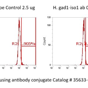 Human GAD67 Antibody (FITC Conjugate)