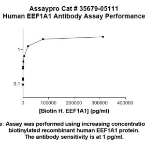 Human EEF1A1 Antibody