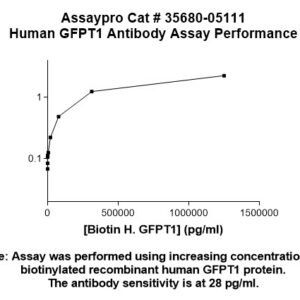 Human GFPT1 Antibody