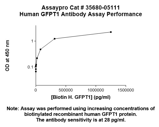 Human GFPT1 Antibody (Biotin Conjugate)