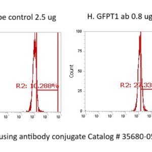 Human GFPT1 Antibody (FITC Conjugate)