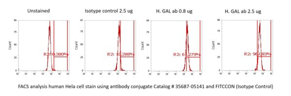 Human Galanin (GAL) Antibody (FITC Conjugate)