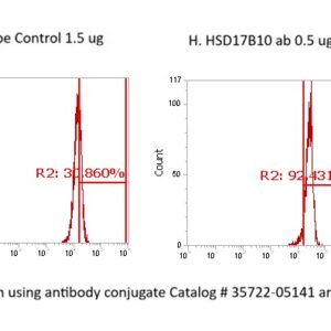 Human 3-Hydroxyacyl-CoA Dehydrogenase Type-2 (HSD17B10) AssayLite Antibody (FITC Conjugate)