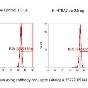 Human High Temperature Requirement Protein A2 (HTRA2) AssayLite Antibody (FITC Conjugate)