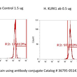 Human NKG2D AssayLite Antibody (FITC Conjugate)