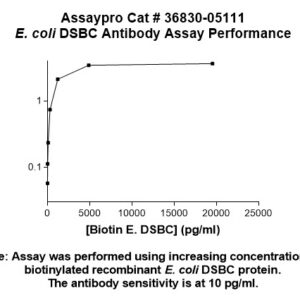 E. coli DSBC Antibody