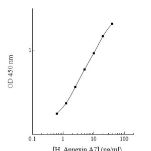 Human Annexin A7 (ANXA7) ELISA Kit