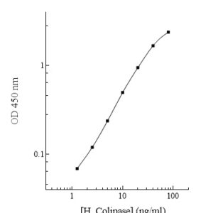 Human Colipase (CLPS) ELISA Kit