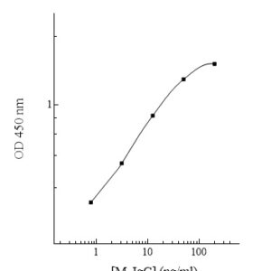 Mouse Immunoglobulin G (IgG) ELISA Kit